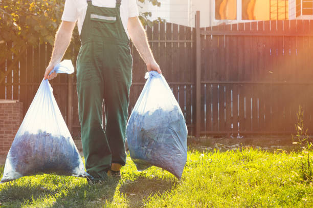 Best Office Cleanout  in Needles, CA